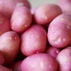 White potatoes in a bowl on a wood table top