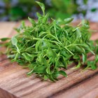 Watercress in bowl on wooden background