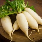 Fresh kohlrabi on a market