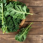 Fresh green, organic parsley on wooden table