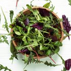 green and red lettuce