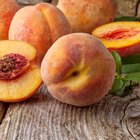 Fresh organic peaches in wooden crate viewed from above