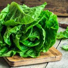 lettuce on kitchen board.