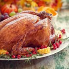 Christmas or Thanksgiving turkey