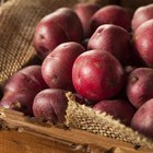 Baskets full of small red new potatoes