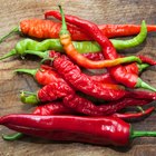 Pasilla chili in Oaxaca market, Mexico