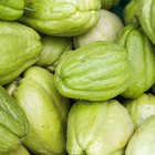 Close-up of slices of a courgette