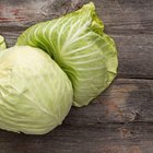 Closed Up Image of a Cabbage With Water drops On it, Surrounded By Other Vegetables, High Angle View