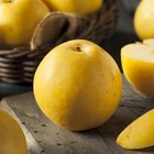 autumn fruits in white background