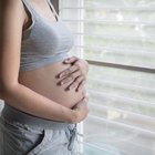 Woman's hand holding pregnancy test 