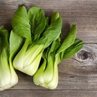 Bok choy (chinese cabbage) on a wooden table