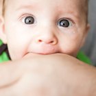 Baby holding a toy