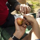 No-Cook Meal Ideas for Camping