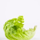 Fresh green cabbage on a wooden table