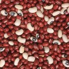 Mass of beans
