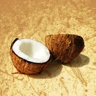 Coconut on a wooden background