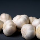 Fresh garlic on wooden background