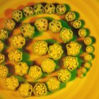 Closed Up Image of Several Okras On a Black, Square Plate, High Angle View, Differential Focus