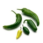 high angle view of assorted chilies
