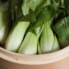 Steamed sauerkraut on old wooden background