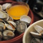 fresh clams preparing for cooking