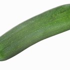 Close-up of fresh zucchini squashes