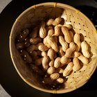 scoop of macadamia nuts