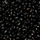 Mass of beans