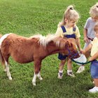 Ventajas de las excursiones para niños