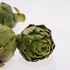 Fresh Chinese Cabbage on Rustic Wood