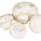 White button mushrooms