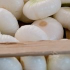 Whole white onions