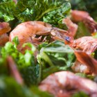 Shrimp sea food