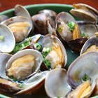 Close-up of oysters in a market in Barcelona