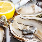 Close-up of oysters in a market in Barcelona