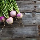 Fresh white turnips