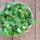 fresh watercress on wooden cutting board