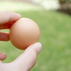 Soluções para experimentos de ovo em queda livre, sem paraquedas