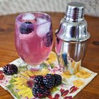blueberry shrubs with berry