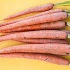 Roasted carrot hummus