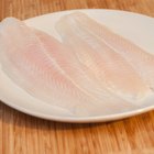 raw hake fish fillet pieces
