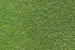 How to Prevent Grass Clumping | eHow