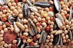 How to Make Homemade Bird Seed Treats?