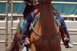 How to Make a Horse Martingale