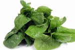 Spinach Leaves for a Pet Rabbit