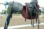 How to Repair a Dry Leather Saddle