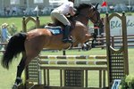 How to Build Standards for Horse Jumps