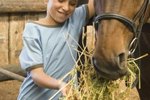 Good Natural Sources of Protein for Horses