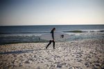 Beaches Where Dogs Can Swim Near Annapolis, Maryland | USA Today
