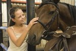 What Horse Breeds Are Friendliest to People?
